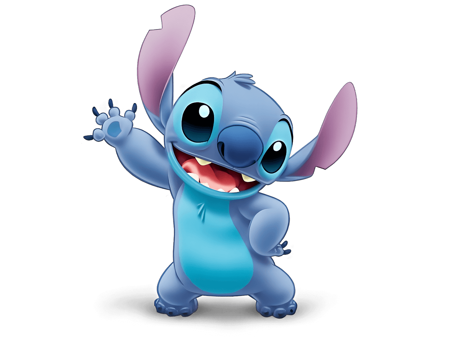 Stitch Collection - The Cute Corner